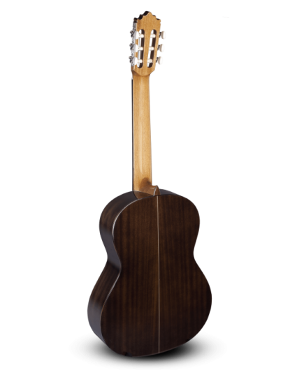 Guitarra Paco Castillo 202
