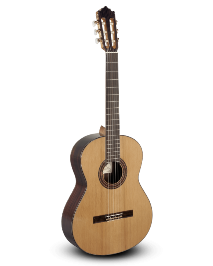 Guitarra Paco Castillo 203