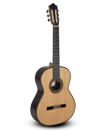 Guitarra Paco Castillo 205