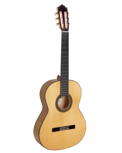 Guitarra Paco Castillo 214F