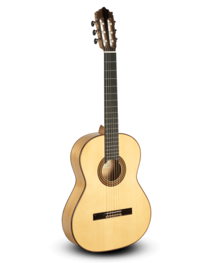 Guitarra Paco Castillo 215F