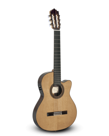 Guitarra Paco Castillo 234TE