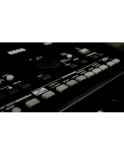 Teclado Korg PA 300