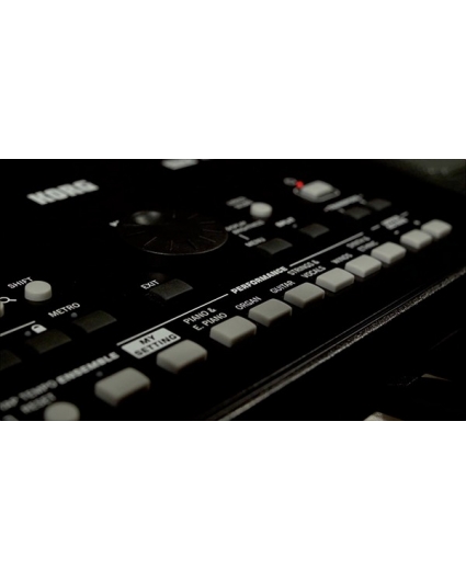 Teclado Korg PA 300