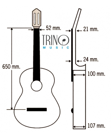 Guitarra Paco Castillo 240