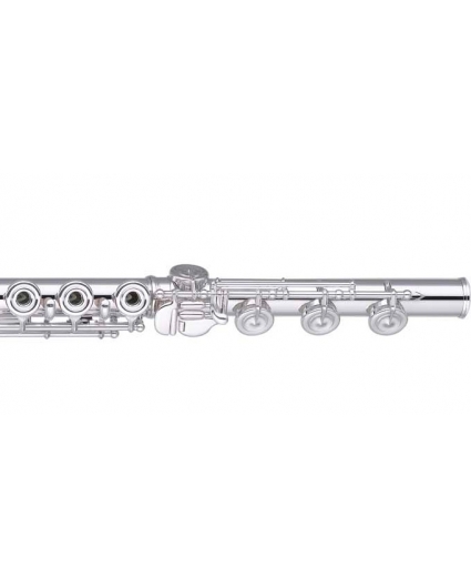 Flauta Miyazawa BR-958-1R-BE