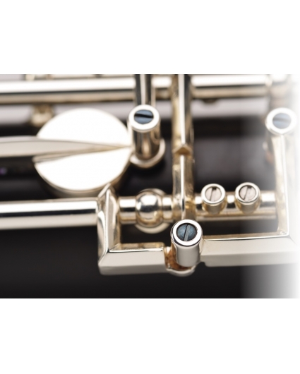 Oboe Buffet Prodige BC4030 Simplificado