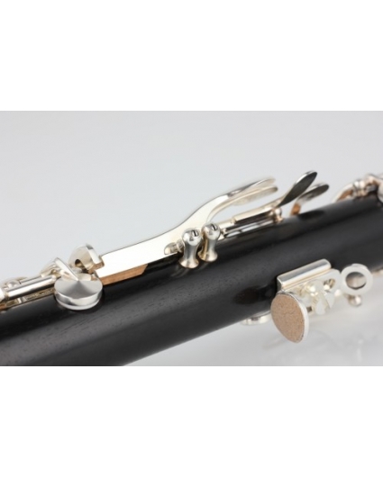 Requinto Amati ACL 361S