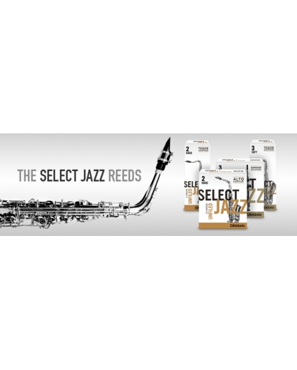 Caña Saxofon Alto D'addario Select Jazz Unfiled 2H