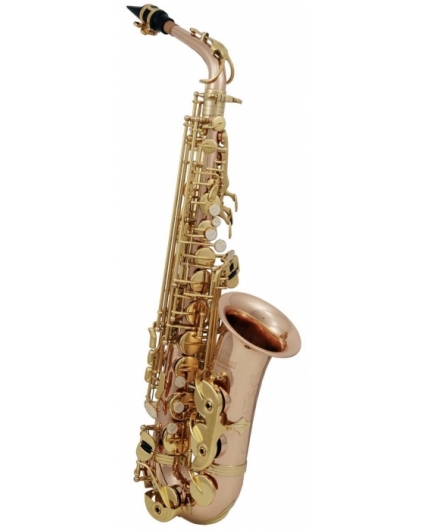 Saxofón Alto Roy Benson AS-202G