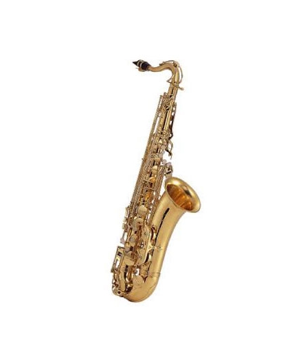Saxofon Tenor J.Michael 900