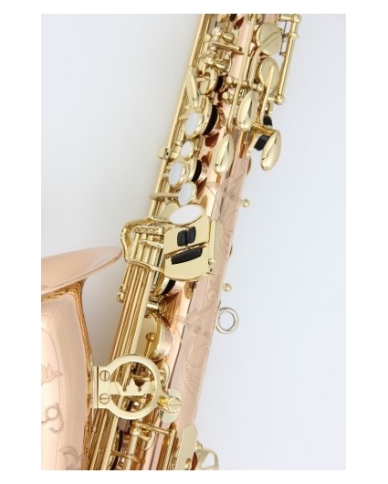 Saxofon Alto Amati AAS 83T