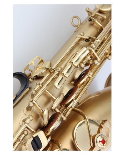 Saxofon Alto Amati AAS 33GZ