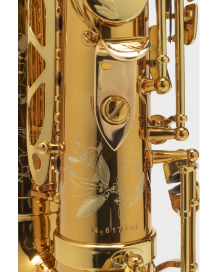 Saxofon Alto Selmer Supreme