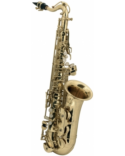 Saxofón Alto Roy Benson Para Niños AS-201