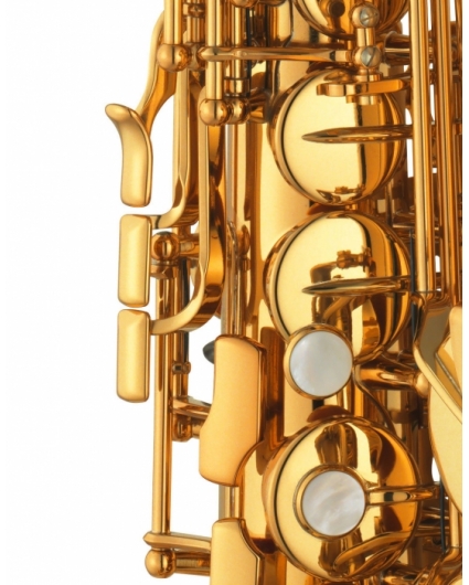 Saxofon Alto Yamaha YAS-875EX