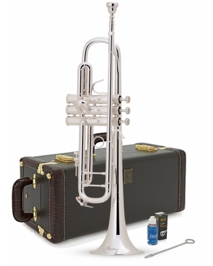Trompeta Bach LR180MLS Plateada Tudel no standard