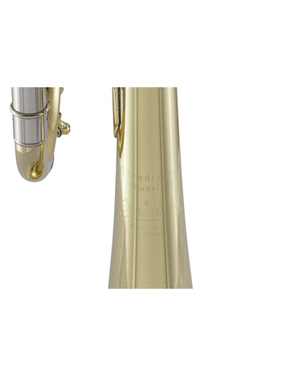 Trompeta Bach 180ML Lacada Tudel no Standard