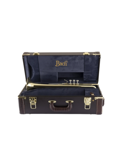 Trompeta Bach 180ML Lacada Tudel no Standard