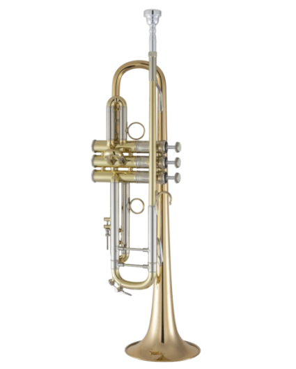 Trompeta Bach 190LV/65G Tudel 43 Campana Goldmessing