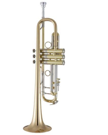 Trompeta Bach 190LV/65G Tudel 43 Campana Goldmessing