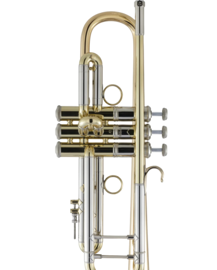 Trompeta Bach 190LV/65G Tudel 43 Campana Goldmessing