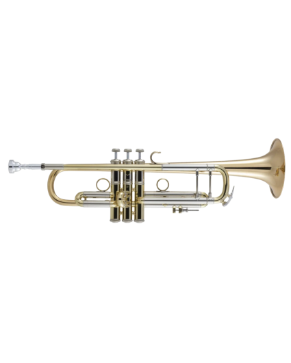 Trompeta Bach 190LV/65G Tudel 43 Campana Goldmessing