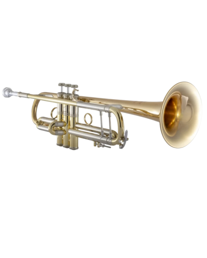 Trompeta Bach 190LV/65G Tudel 43 Campana Goldmessing