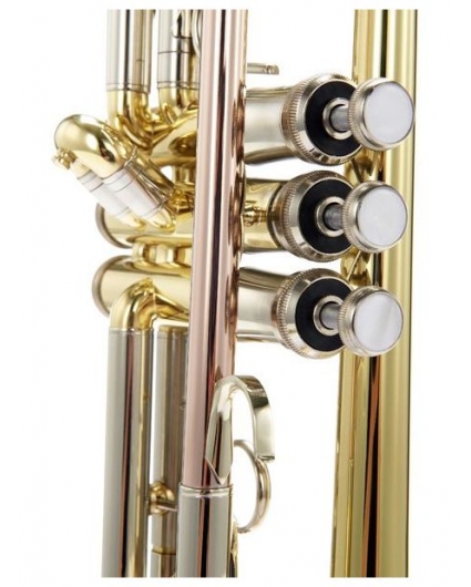 Trompeta Bach TR501