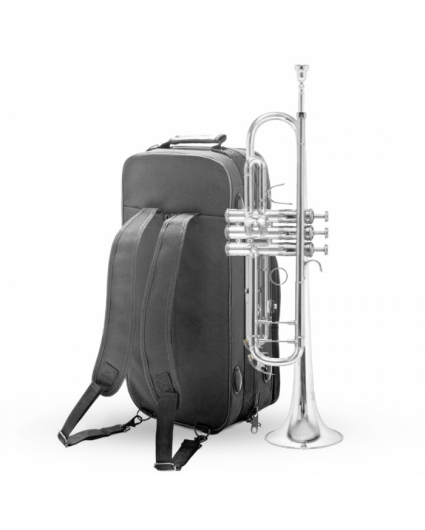 Trompeta Bach TR501S