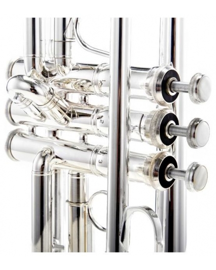 Trompeta Bach TR501S
