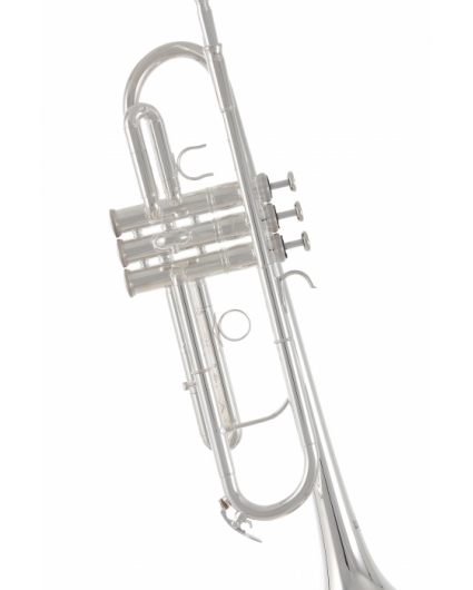 Trompeta Do Roy Benson TR-402C Silver