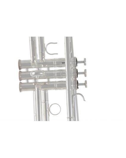 Trompeta Do Roy Benson TR-402C Silver
