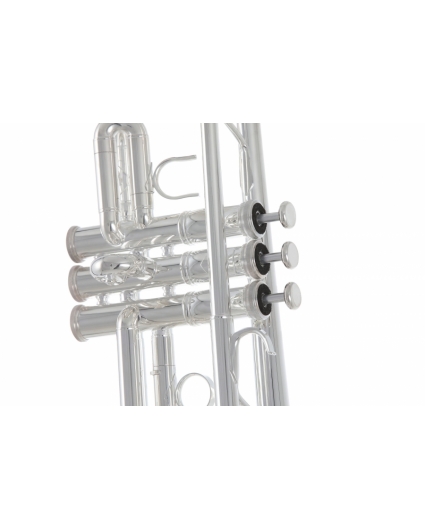 Trompeta Do Roy Benson TR-402C Silver