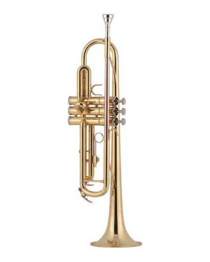 Trompeta J.Michael 380