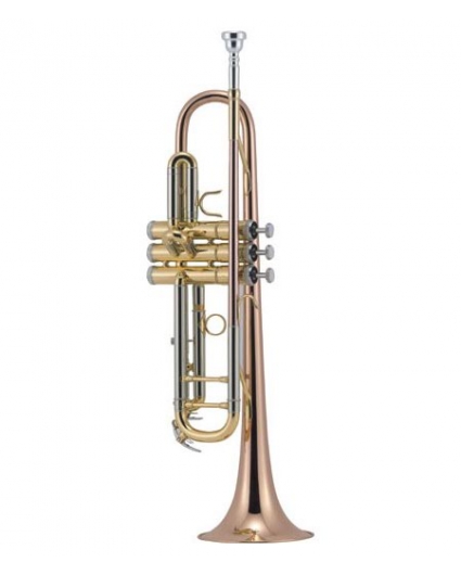 Trompeta J.Michael 450