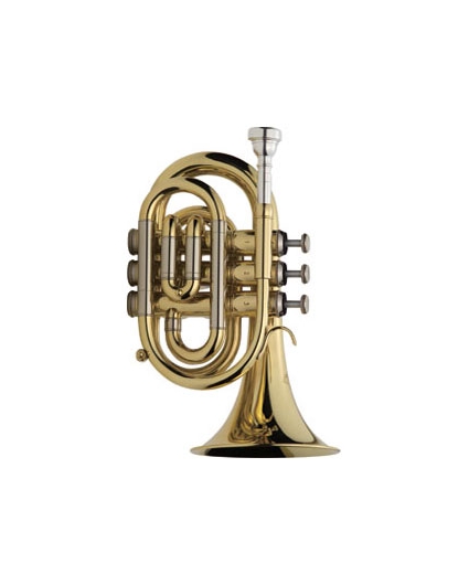 Trompeta Pocket J.Michael 350L