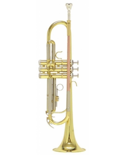 Trompeta Roy Benson TR-202