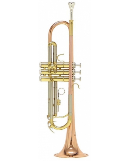 Trompeta Roy Benson TR-202G