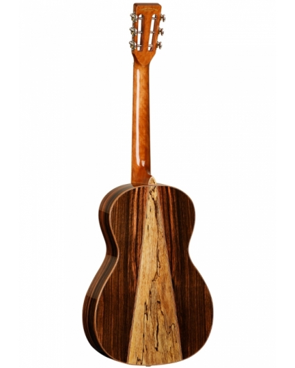 Guitarra Acustica Tanglewood TWJP E