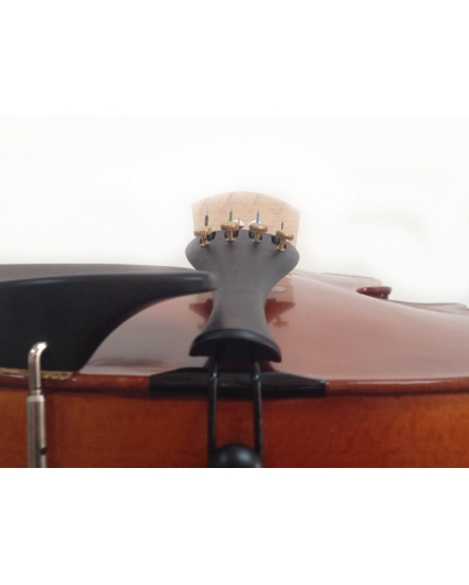 Kreutzer School Viola