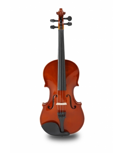 Violin Amadeus VA-101