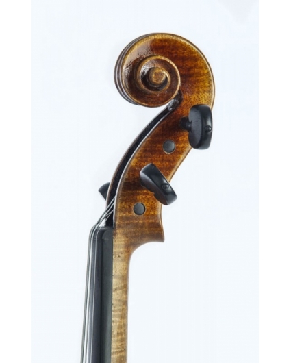 Violin F. Müller Master