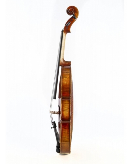 Violin F. Müller Soloist