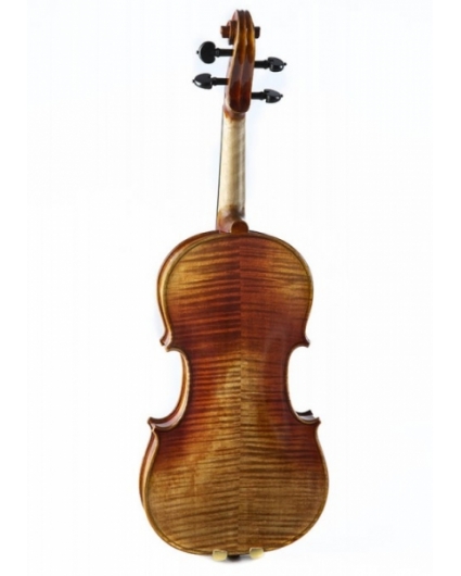 Violin F. Müller Soloist