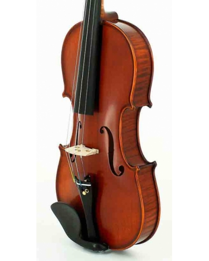 Violin Gliga Gama II