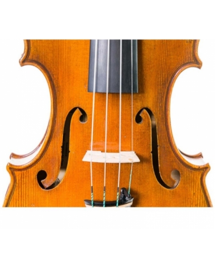 Violin Antonio Wang Signature