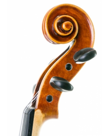 Violin Sofia Sylvanus