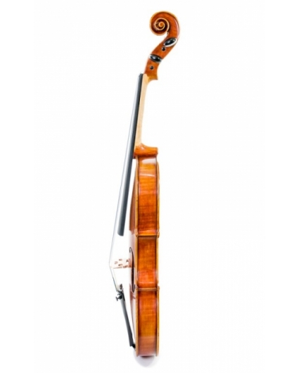 Violin Sofia Sylvanus