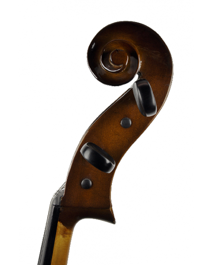 Violonchelo Stentor Student II 1/2